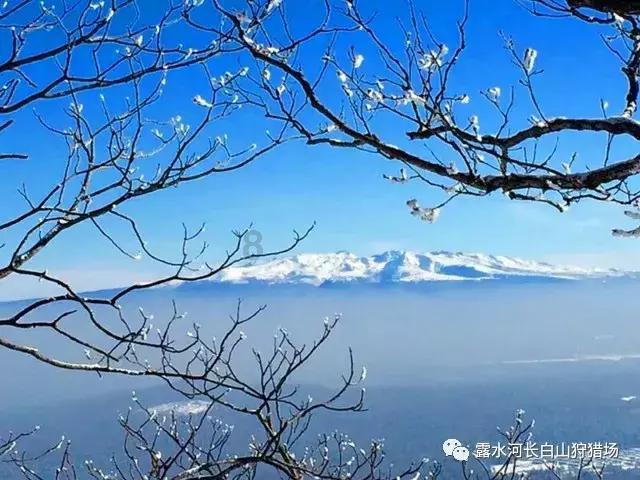 极度的疯狂